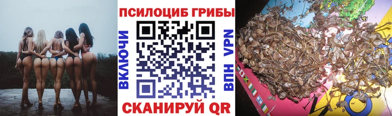 Псилоцибиновые грибы прущие грибы  купить закладку  Никольское 