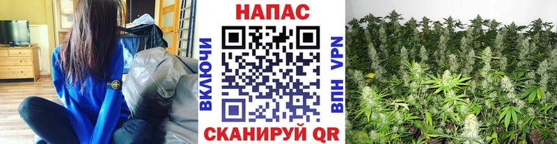 что такое   Никольское  МАРИХУАНА Amnesia 